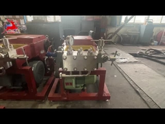 آلة تجميل البخاخ الغذائي / معدات تجميل الصناعية